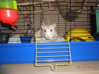 /album/fotogaleria/g-6-jpg/